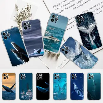 Okyanus Balina Köpekbalığı Yüzme telefon kılıfı Silikon Yumuşak iphone 14 13 12 11 Pro Mini XS MAX 8 7 6 Artı X XS XR Kapak
